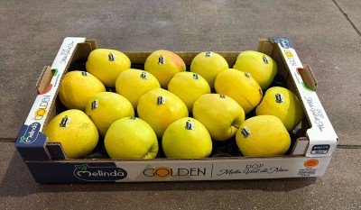 Foto Mele Golden Calibro 85/90 Origine Italia Marchio Melinda 1